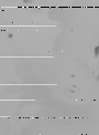 MHS-2.png